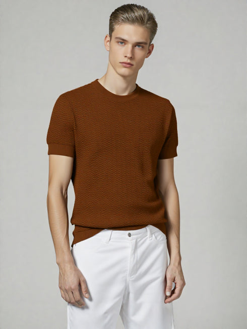Brown Old School Knit Short-Sleeve Sweater with textured design