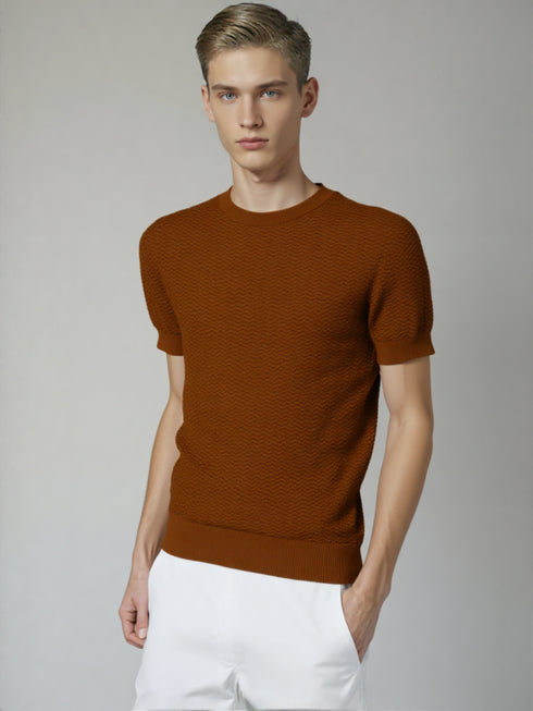 Brown Old School Knit Short-Sleeve Sweater with textured design